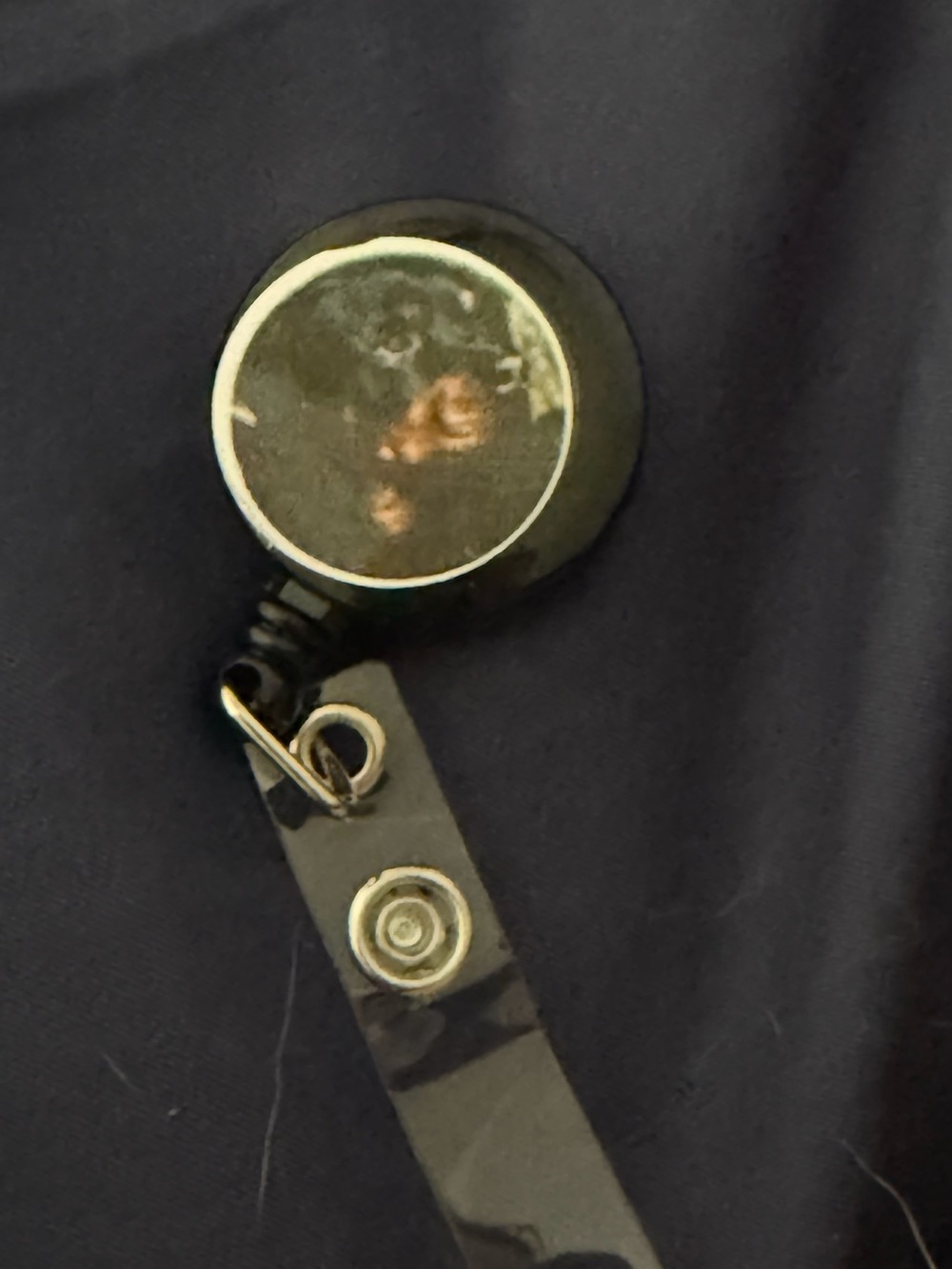Rottweiler Black Retractable Badge Reel with Clear Strap